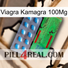 Viagra Kamagra 100Mg new03
